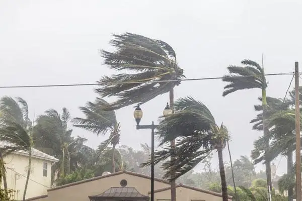 Doors for Hurricane weather