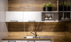 Walnut Kitchen Cabinets