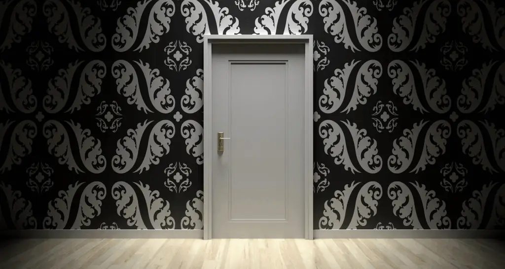 Modern Door Trends