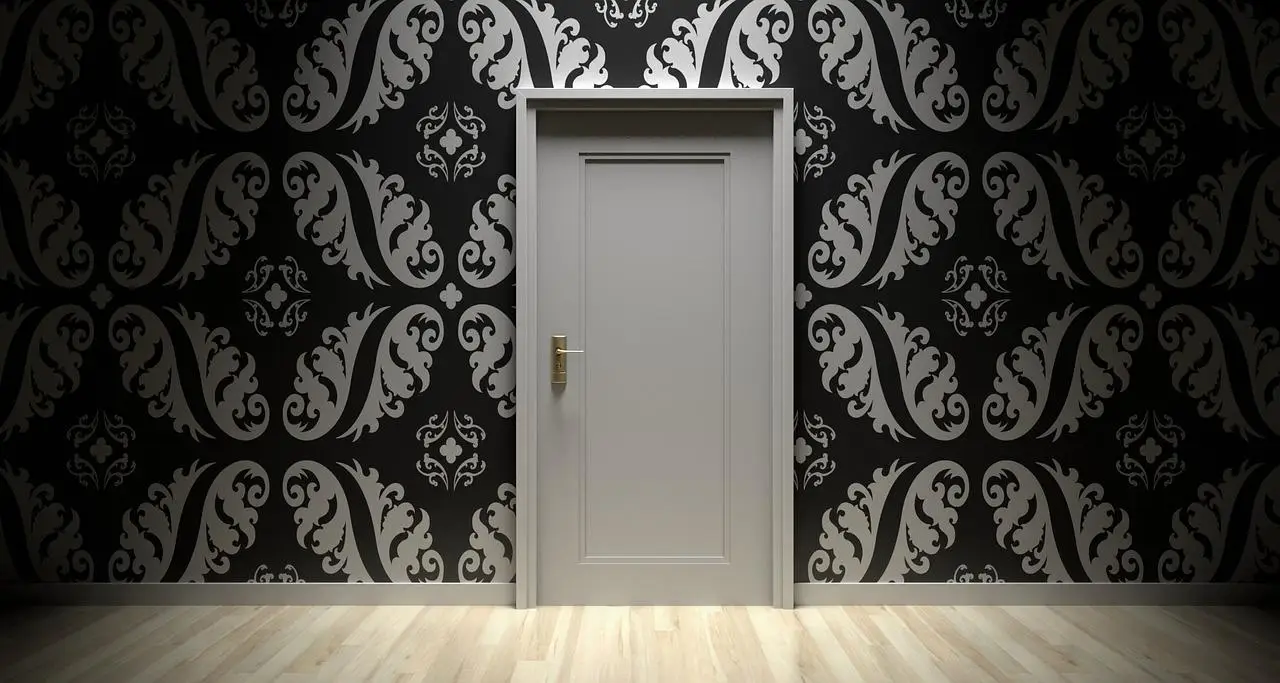 Modern Door Trends