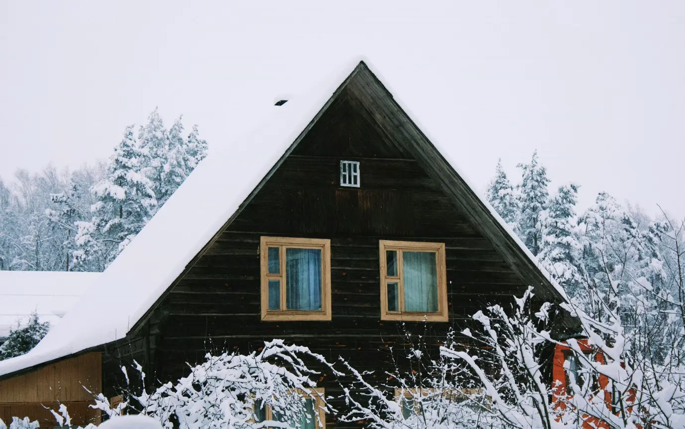 What are New Construction Windows
