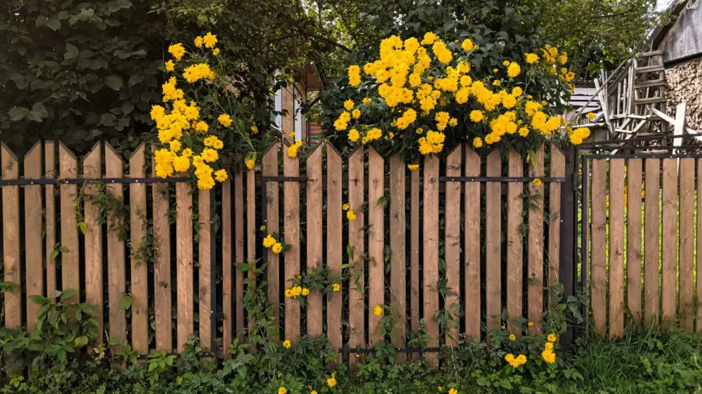 Horizontal Slat Fence