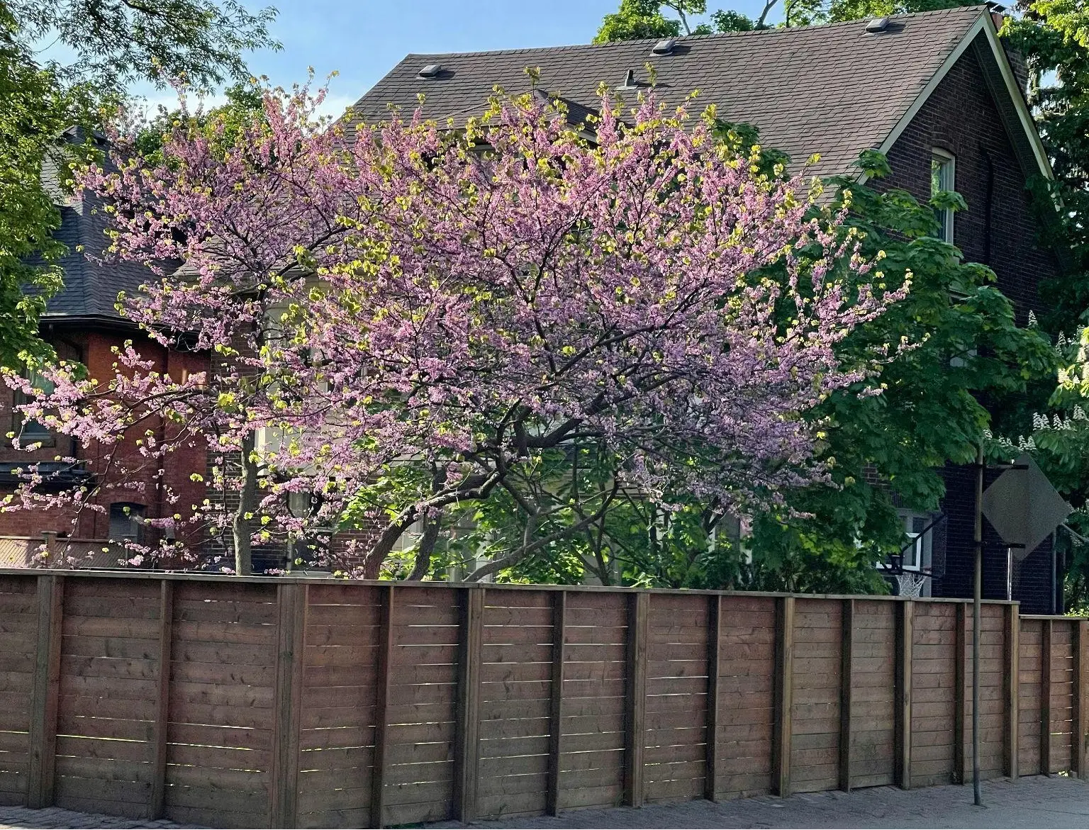 Shadowbox Fence