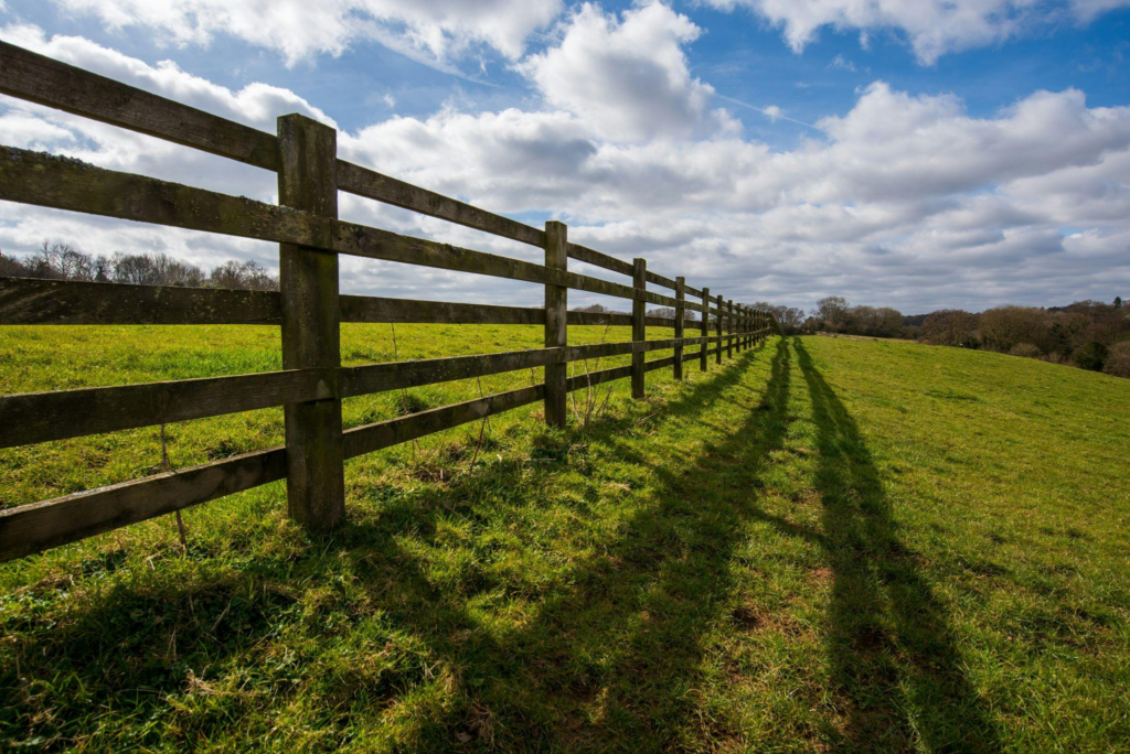 Split Rail Fences