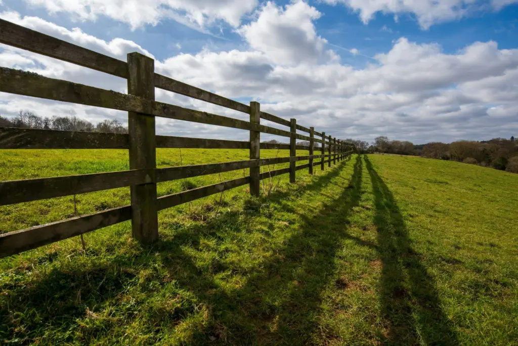 Split Rail Fences